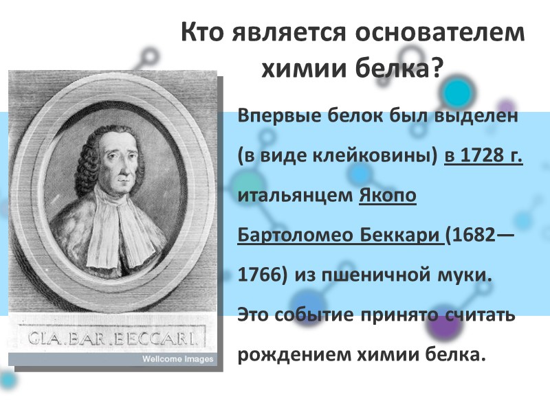 Кто является основателем химии белка? Впервые белок был выделен (в виде клейковины) в 1728